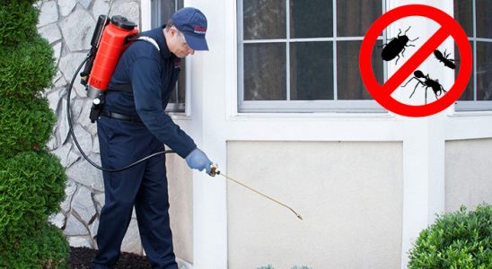 Boztepe Dezenfeksiyon böcek ilaçlama ve haşere kontrolü — ilaclama-tr.com